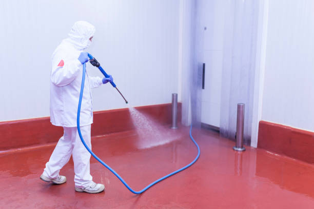 Best Soft Washing  in Margate City, NJ